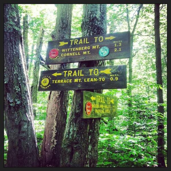 Intersection of the Wittenberg-Cornell-Slide Trail with the Terrace Mountain Trail