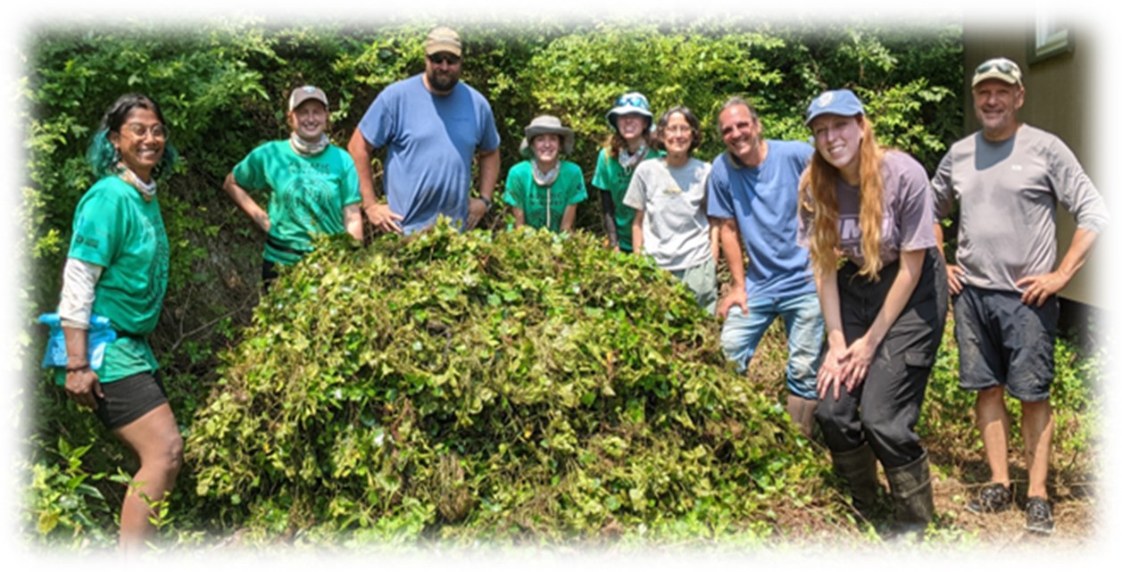 ISF Crew with Invasive Plants