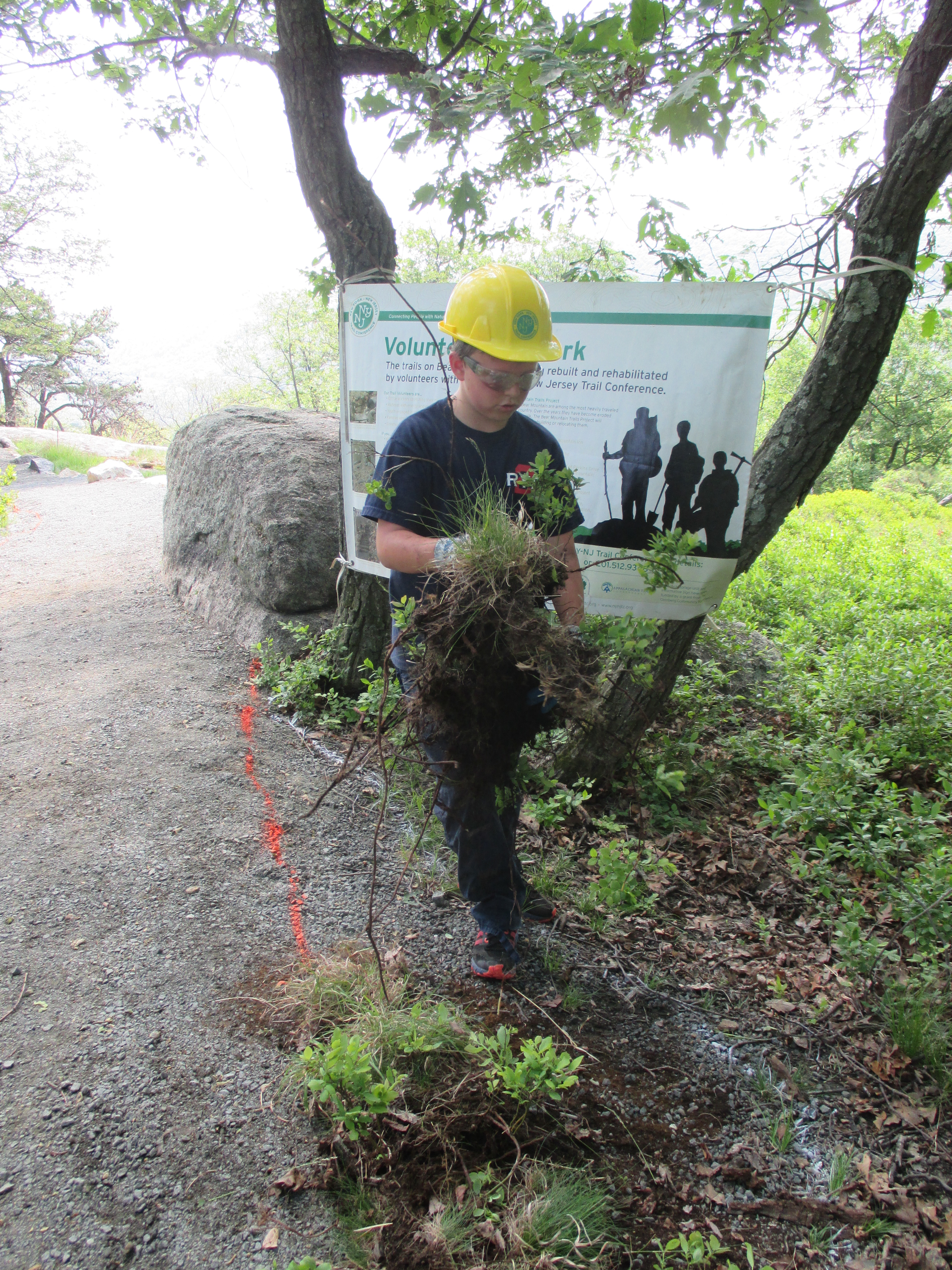 A Boy Scout doing habitat restoration on the Appalachian Trail in Bear Mt. State Park, NY.