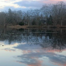 Scenic View of Shadow Lake in Teatown Lake Reservation. Photo by Daniel Chazin.
