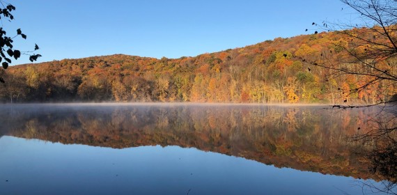Ramapo Reservation reflection. Photo by Andrew Blair.