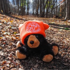 Stuffed bear wearing an orange knit beanie featuring the Trail Conference logo. Photo by Heather Darley.