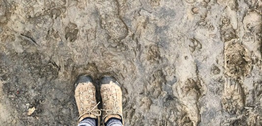 Muddy boots. Photo by Heather Darley.