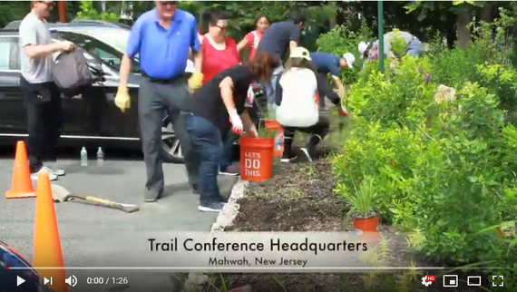 Native Landscaping Time Lapse. Video Credit: Chris Quirin