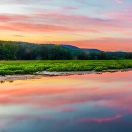 Bashakill Sunset. Photo by Steve Aaron.