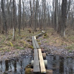 Appalachian Trail Wallkill Puncheon Restoration Project. Photo by West Jersey Trail Crew.