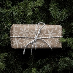 Holiday present laying on evergreen branches. Photo by Unsplash.