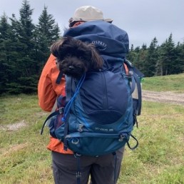 Lisa hiking with her pup in her pack. Photo by Lisa Campanella.