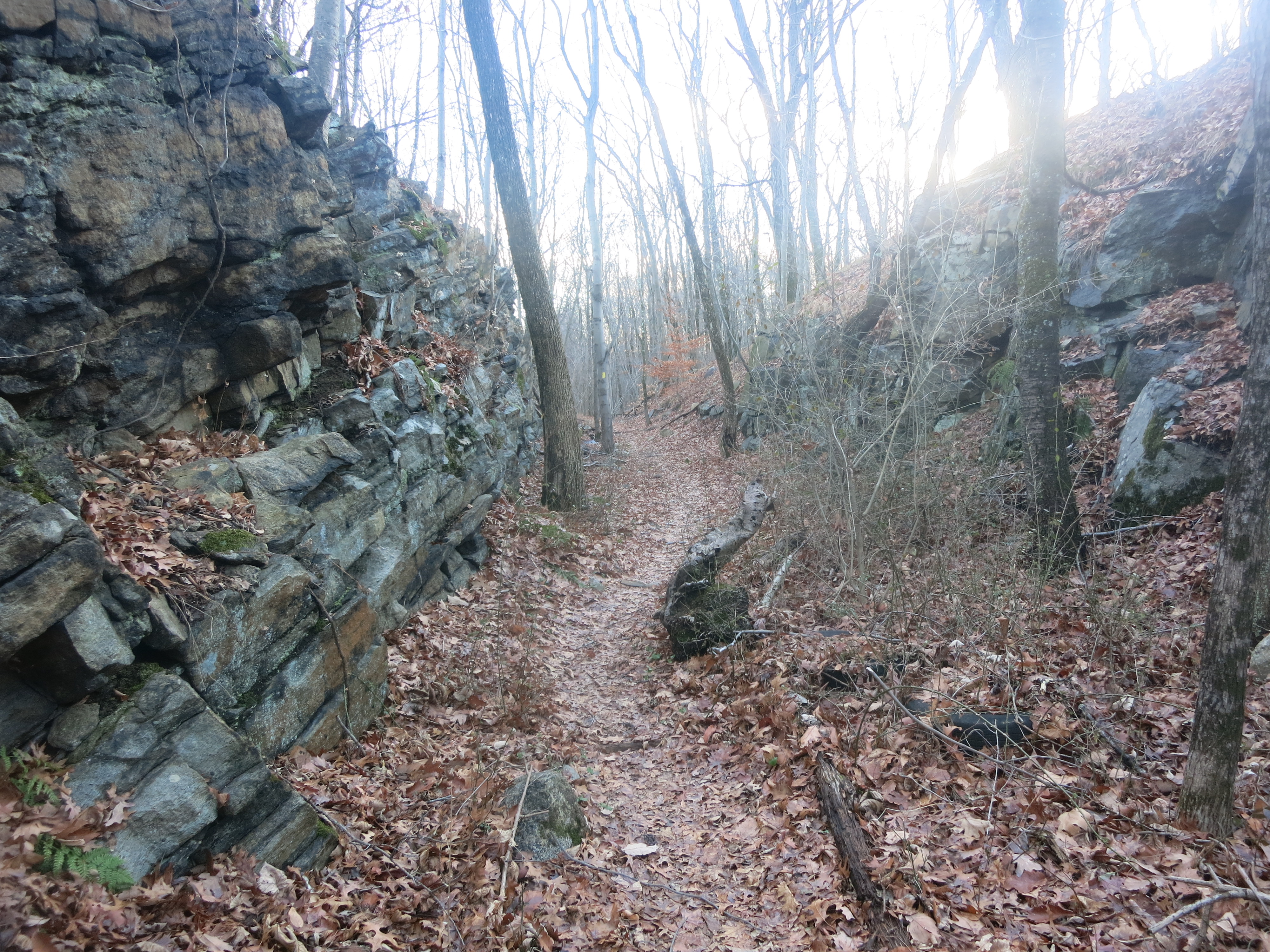Wildcat Ridge Trail in a rock cut for the former Oreland Branch Railroad - Photo by Daniel Chazin