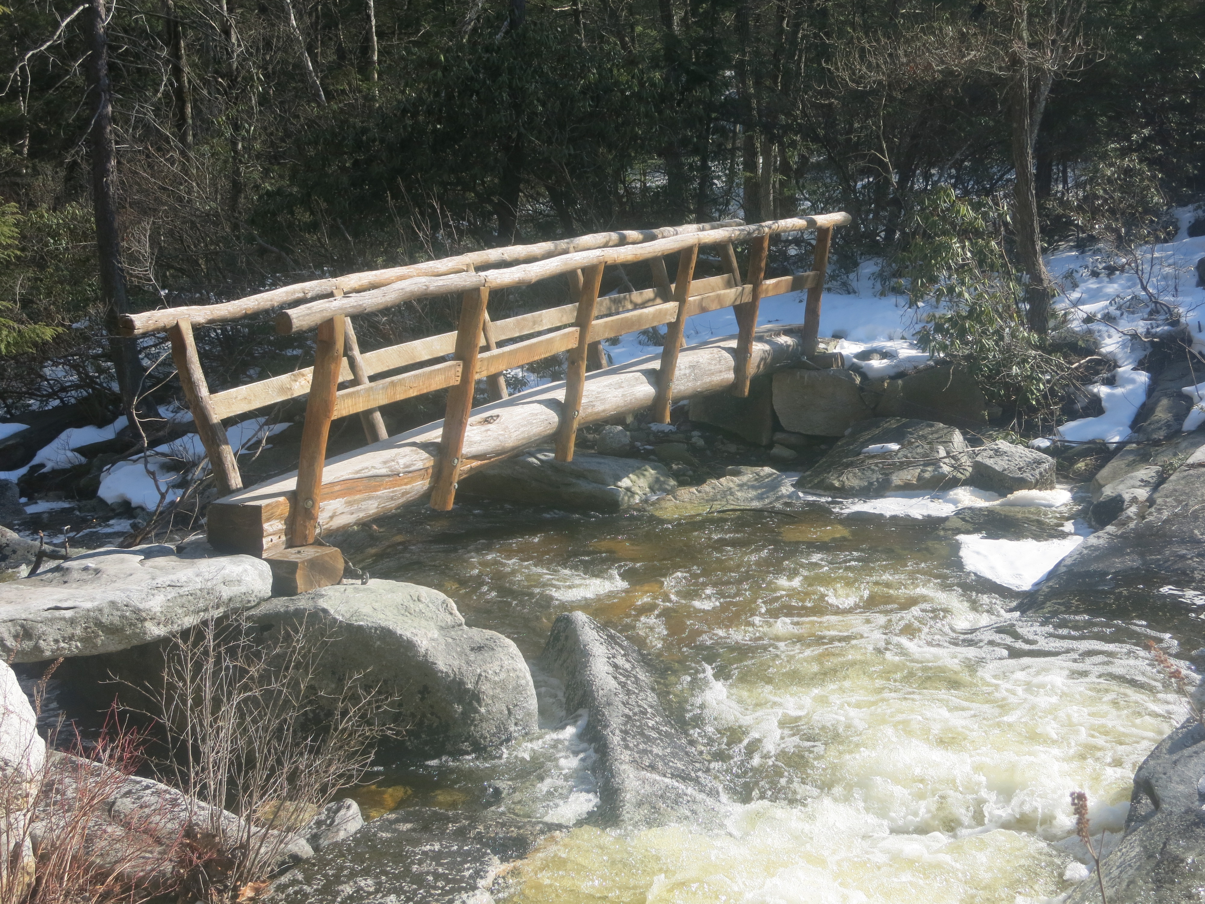One-log footbridge over the Peters Kill on the Blueberry Run Trail - Photo by Daniel Chazin