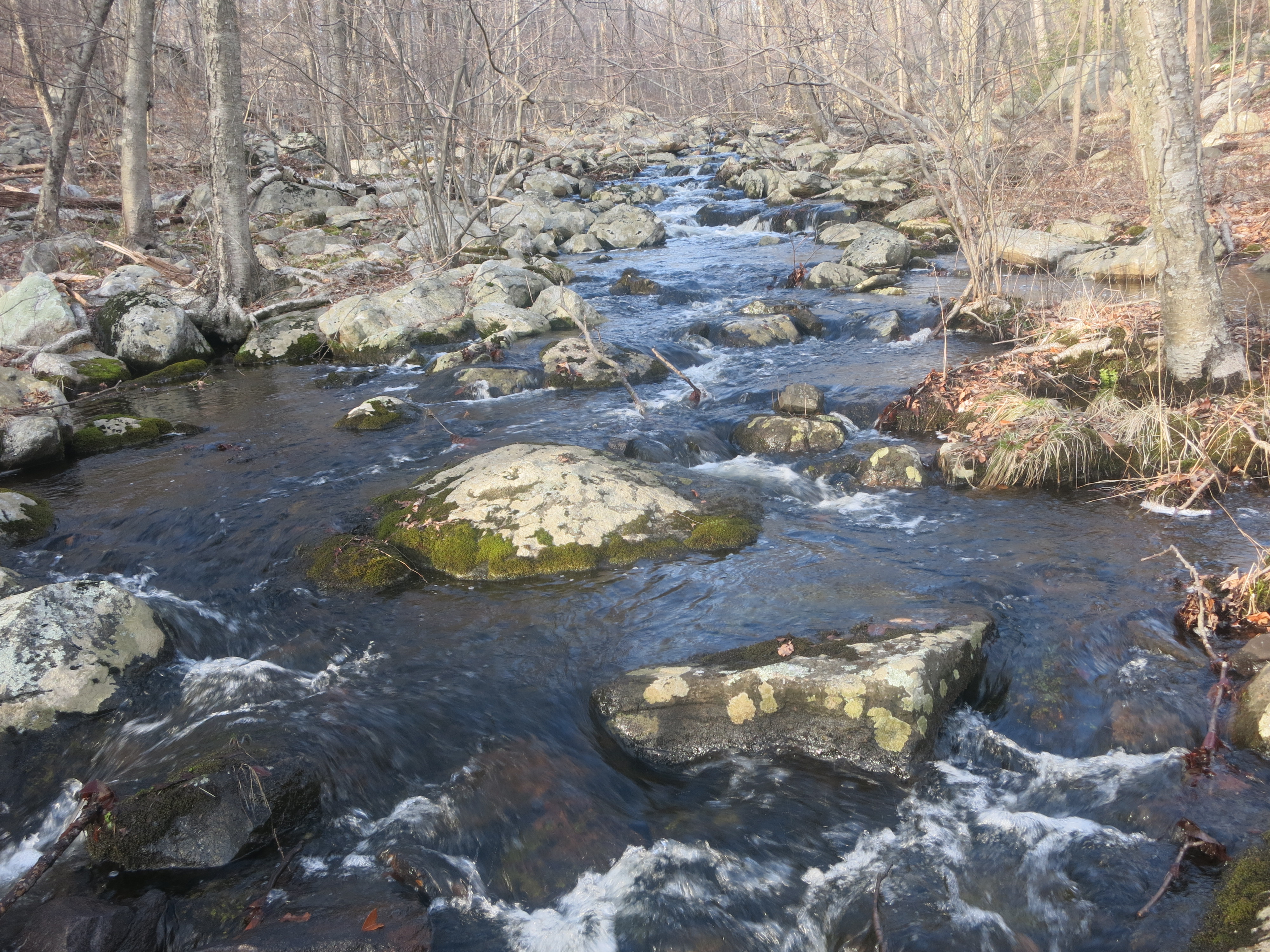Stream crossing on the Red Back Trail in Sterling Forest State Park. Photo by Daniel Chazin.