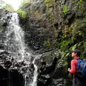 consultant geroosterd brood terugbetaling Top 10 Hiking Trails with Waterfalls | Trail Conference