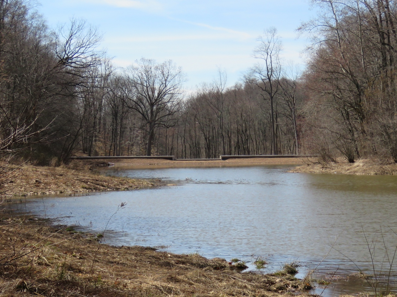 View of Surprise Lake at Watchung Reservation - Photo credit: Daniela Wagstaff