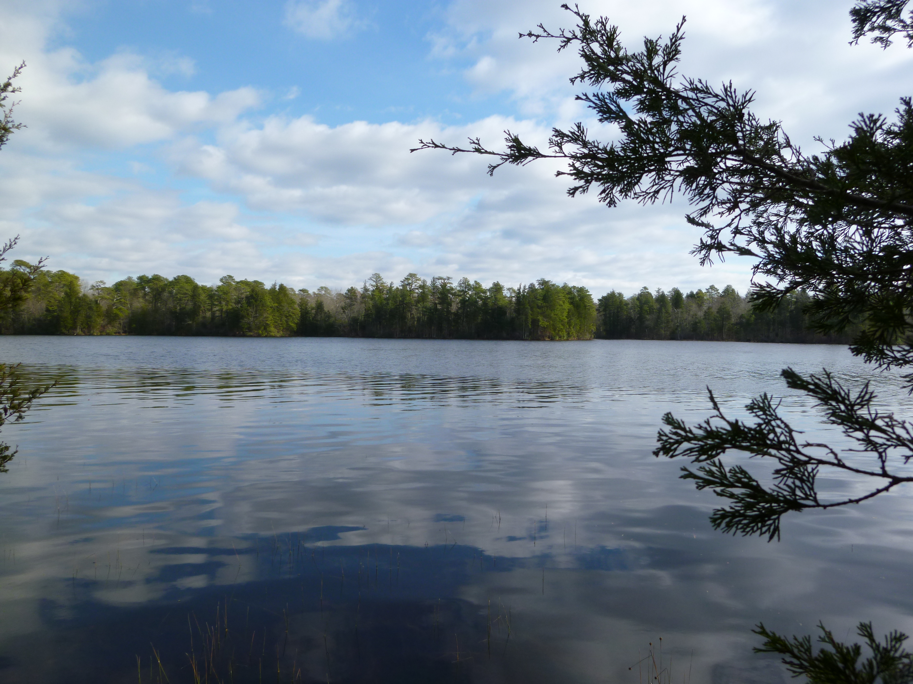 East Creek Pond at Belleplain State Forest - Photo by Daniela Wagstaff