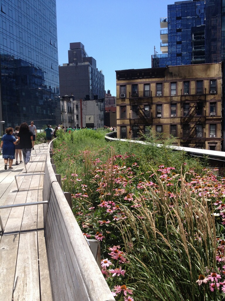 High Line Elevated Park in NYC - Photo - Frank Fernandez