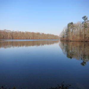 Blydenburgh County Park with Lake view