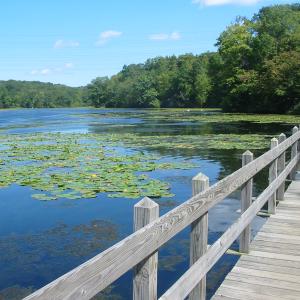 Westchester's Teatown Lake Reservation. Photo by Daniel Chazin.