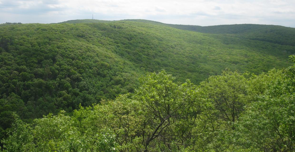 View of Jackie Jones Mountain from Pingyp - Harriman-Bear Mountain State Parks - Photo: Daniel Chazin