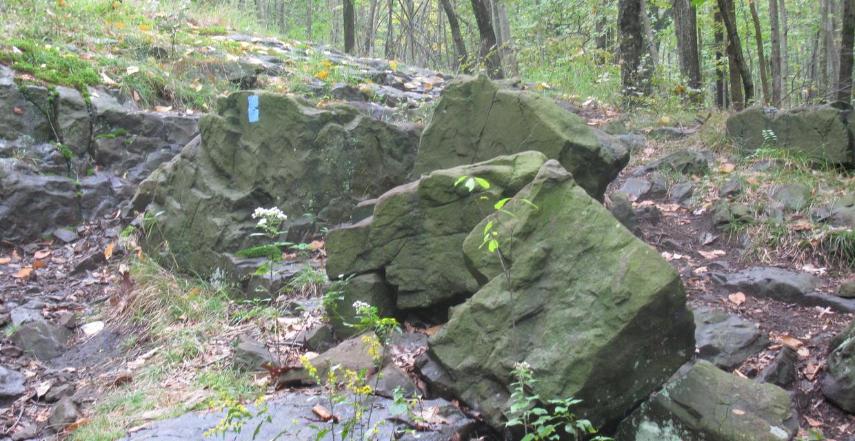 Trail view on Eagle Rock Reservation Loop - Photo: Daniel Chazin