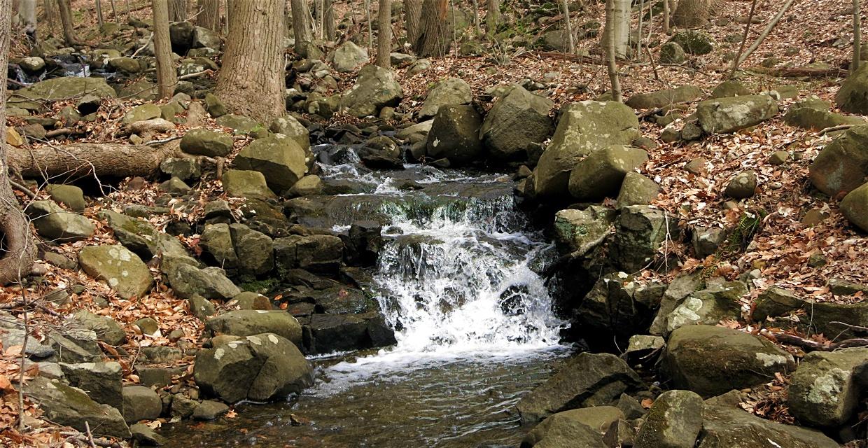 Cascade in Roaring Brook - Rockleigh Woods Sanctuary and Lamont Reserve Loop - Photo by Daniel Chazin.