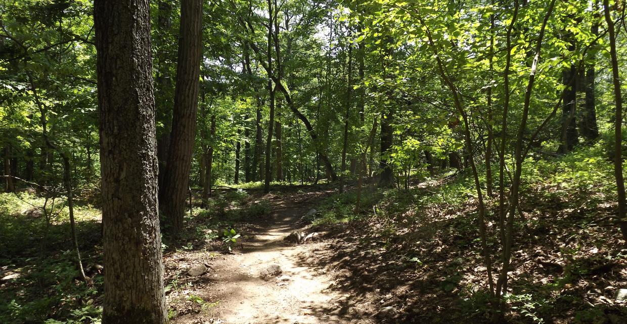 The Red Back Trail in Sterling Forest State Park. Photo by Erik Mickelson.