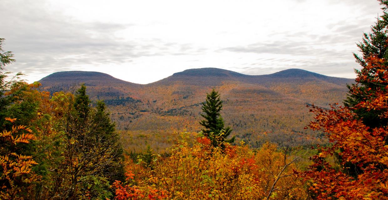 View of the Blackhead Range from the Escarpment Trail - Catskill Park - Photo credit: Jeremy Apgar