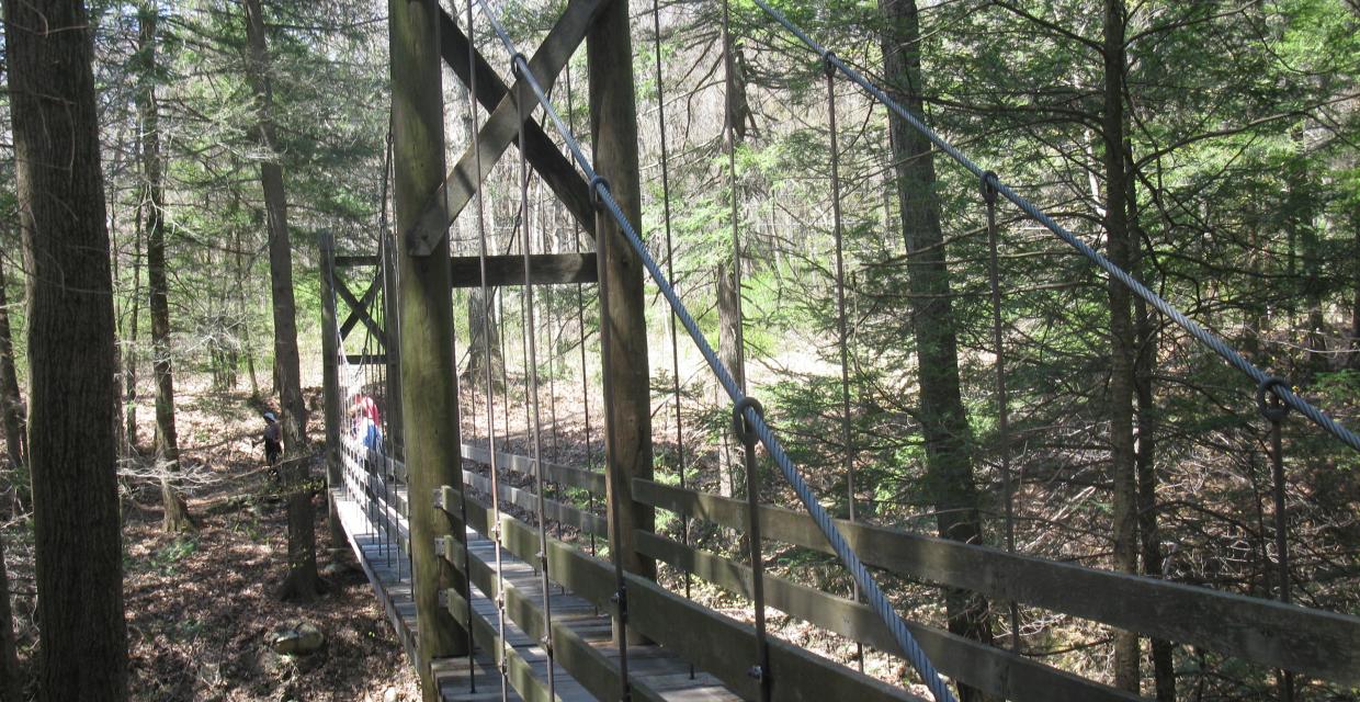 Suspension bridge on trail in Black Creek Forest Preserve - Photo by Daniel Chazin