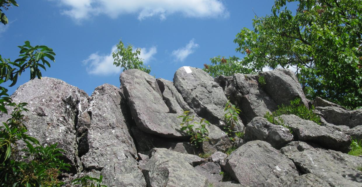 Climbing to Cat Rocks on the Appalachian Trail - Photo by Daniel Chazin