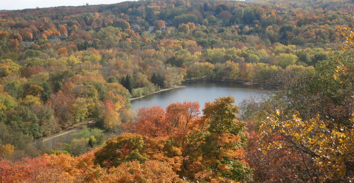 View of Scarlet Oak Pond from Hawk Rock - Photo by Daniel Chazin