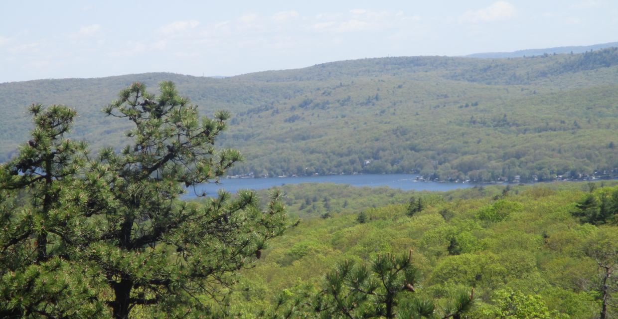 Greenwood Lake from the Terrace Pond North Trail - Photo by Daniel Chazin