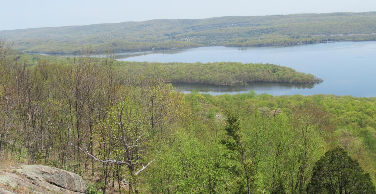 Wanaque Reservoir from Carris Hill - Photo by Daniel Chazin
