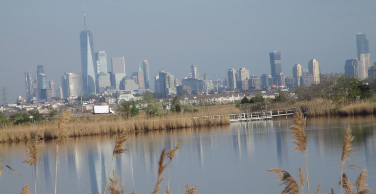 View of the New York City skyline from the trail - Photo by Daniel Chazin