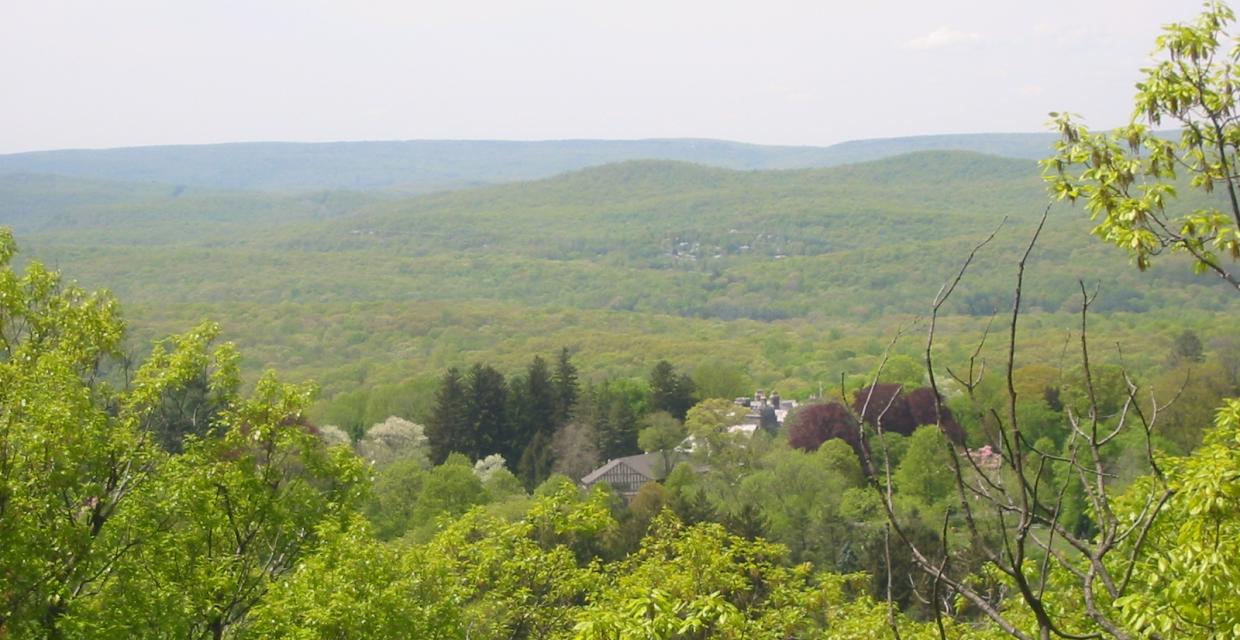 West-facing view from the Ringwood-Ramapo Trail - Photo by Daniel Chazin