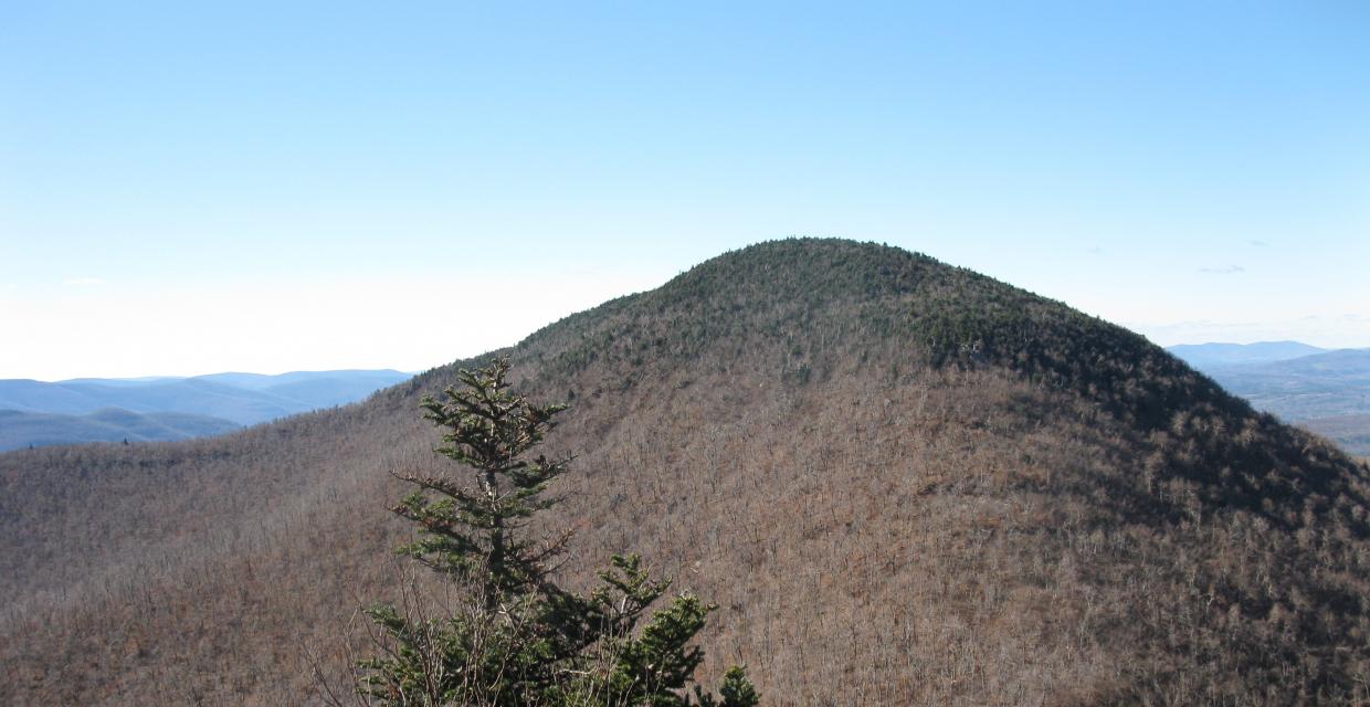 View of Black Dome Mountain from Blackhead Mountain - Photo by Daniel Chazin
