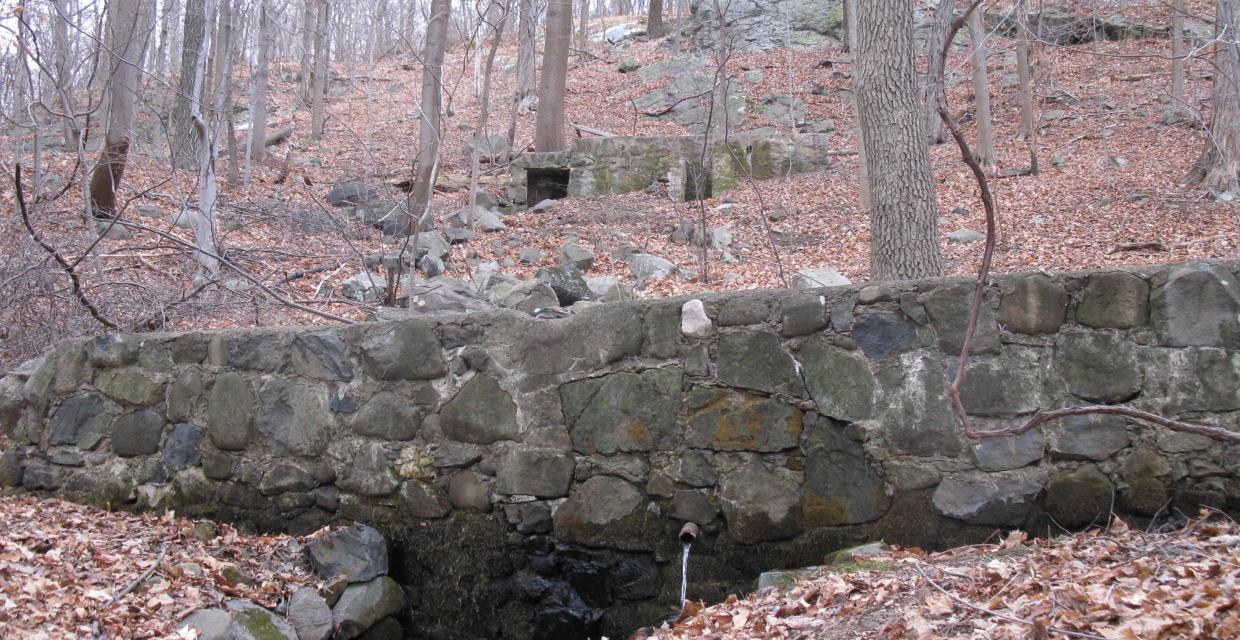 Remnants of two stone cisterns along the White Trail - Photo by Daniel Chazin