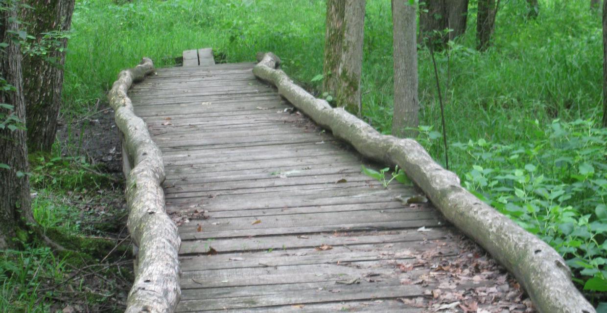 Long wooden footbridge on the Orange Trail - Photo by Daniel Chazin