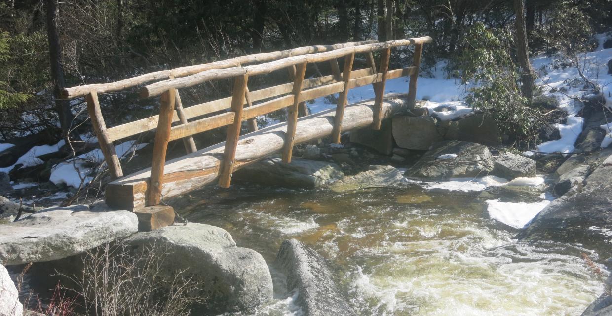 One-log footbridge over the Peters Kill on the Blueberry Run Trail - Photo by Daniel Chazin