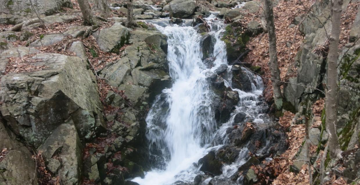 Waterfall on the Brookside Trail. Photo by Daniel Chazin.