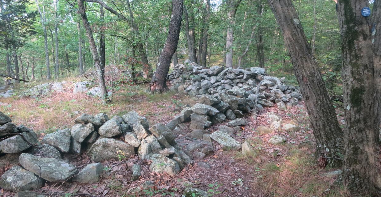 Stone walls along the Fahnestock Trail - Photo by Daniel Chazin