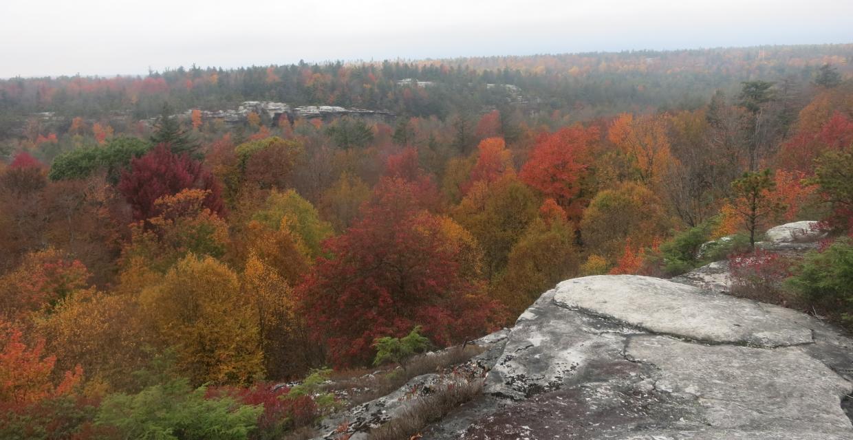 View over Huntington Ravine from the Rainbow Falls Trail - Photo by Daniel Chazin