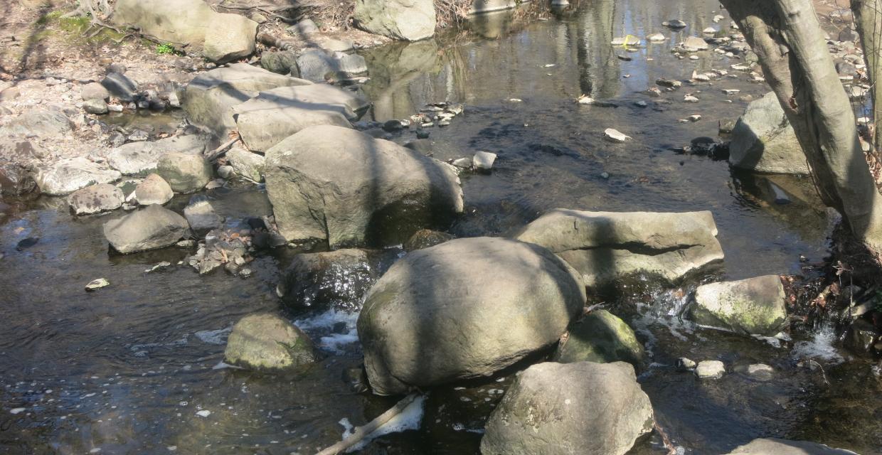 Crossing of the Flat Rock Brook on large boulders on the Yellow and Green Loop Trails. Photo by Daniel Chazin.