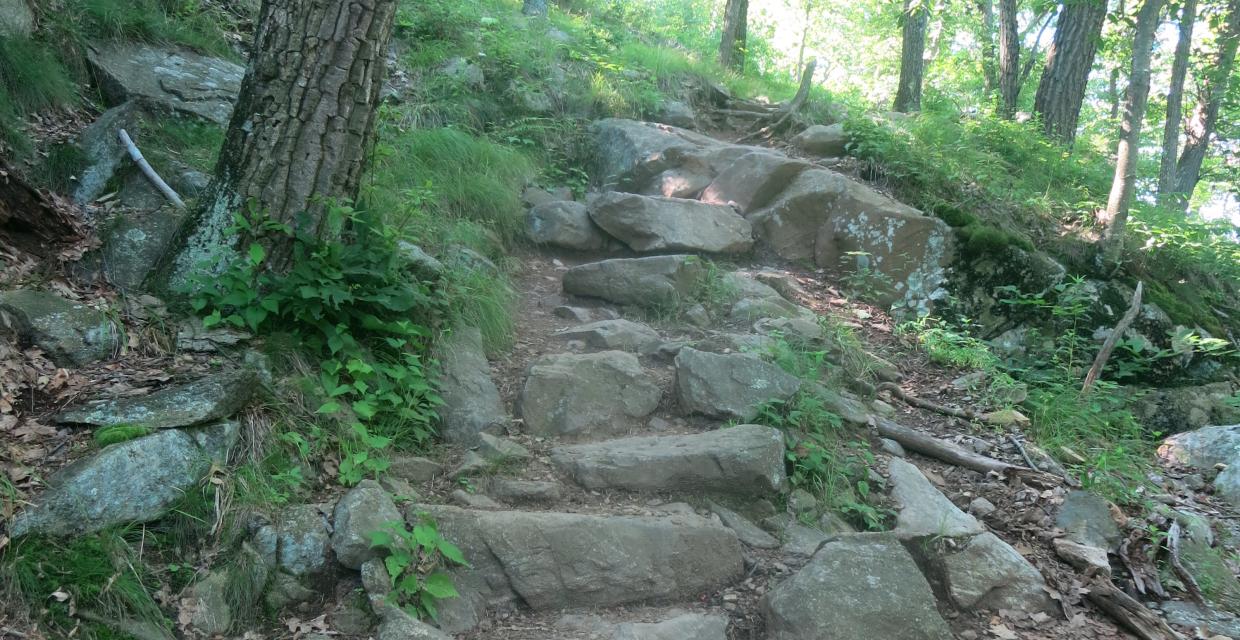 Trail rock steps along the Appalachian Trail. Photo by Daniel Chazin