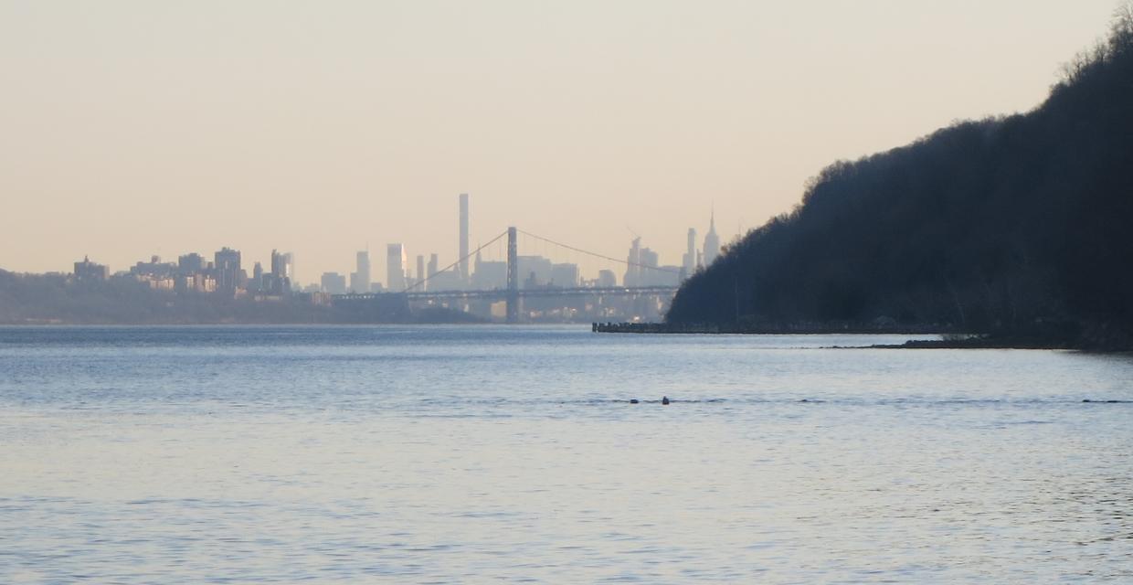 View of the George Washington Bridge from the Shore Trail. Photo by Daniel Chazin.