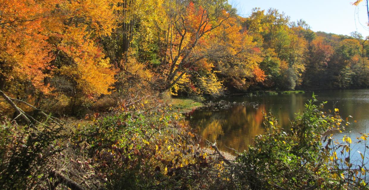 Fall colors along Vernay Lake Photo: Jane Daniels