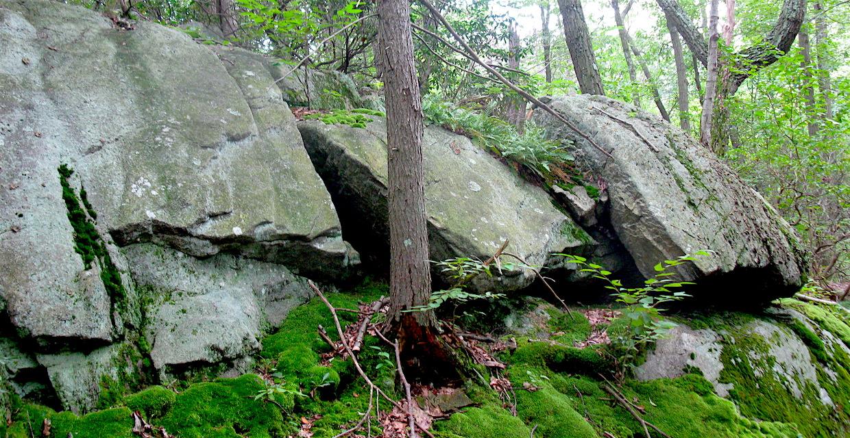 View of rocks along trail - Sugarloaf Hill and Osborn Loop Trail - Hudson Highlands State Park - Photo: Daniel Chazin