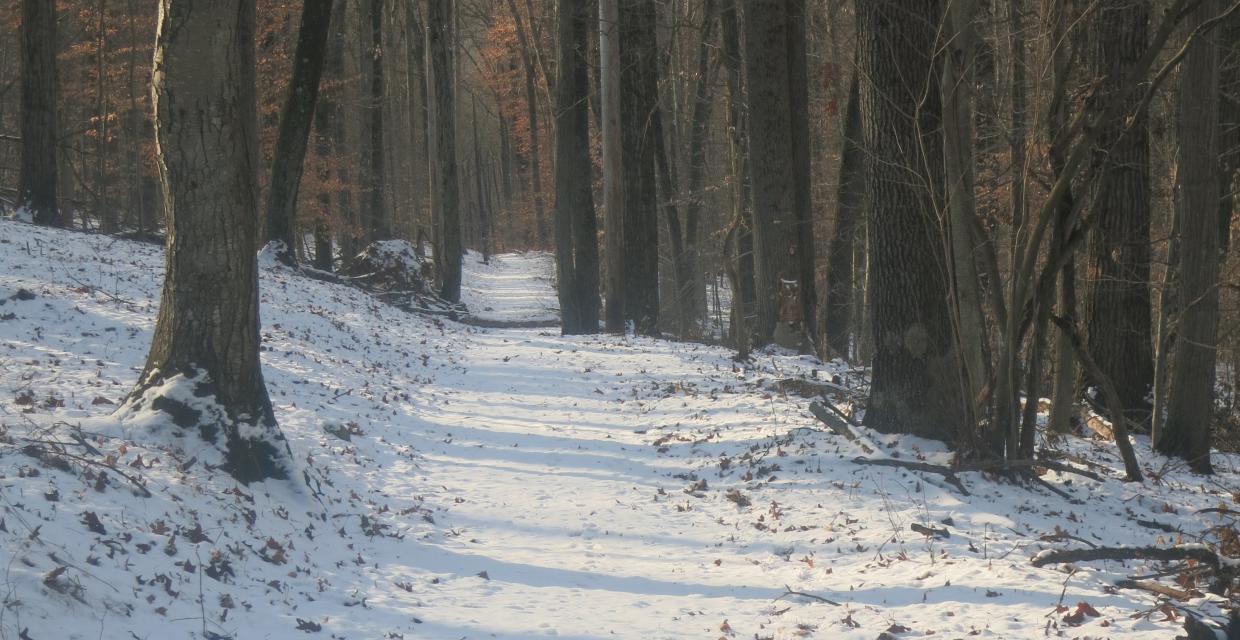 Along the Franklin Parker Trail in the winter - Photo by Daniel Chazin