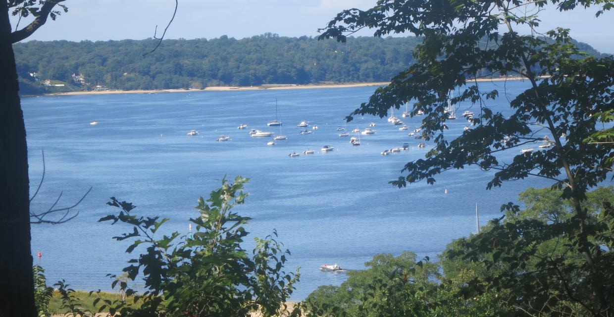 View of the waters of Cold Spring Harbor from the Nassau-Suffolk Greenbelt Trail - Photo by Daniel Chazin