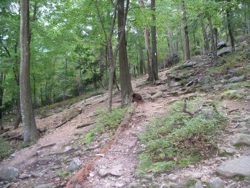 Trail conditions before the Bear Mountain Trails Project restoration. the Appalachian Trail on Bear Mountain was as wide as 40 feet in some places.