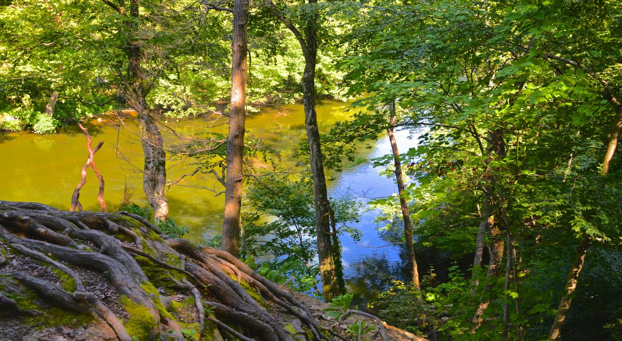 Trail Conference Stewards will be stationed at Croton River Unique Area to help visitors and protect the ecosystem.