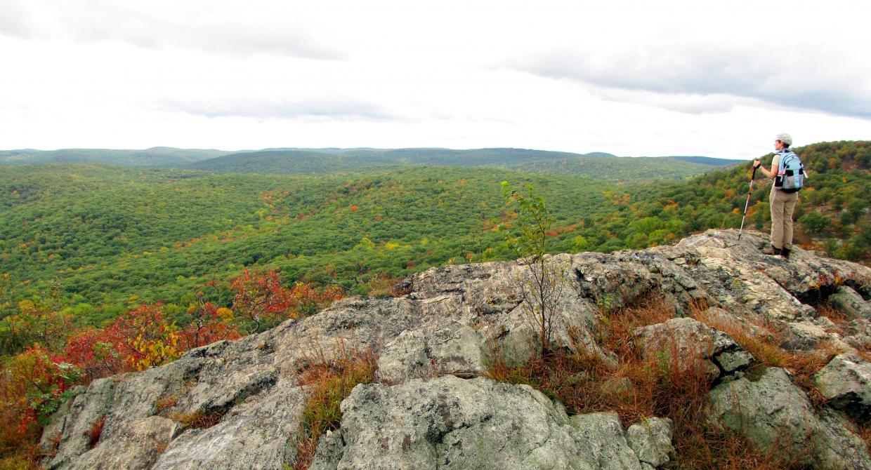 Looking out over Harriman-Bear Mountain state parks. Photo by Dan Balogh.